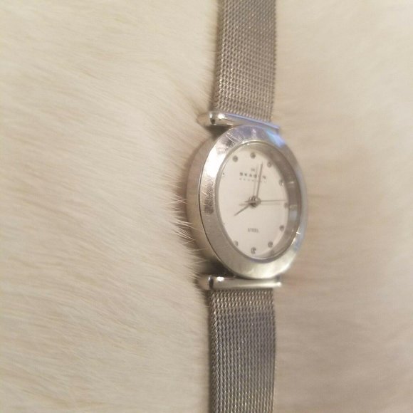 SKagen Denmark Steel‎ Mesh Watch 2479 main image 4